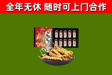 乐安烟酒回收冬虫夏草礼盒.jpg