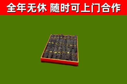 乐安回收海参